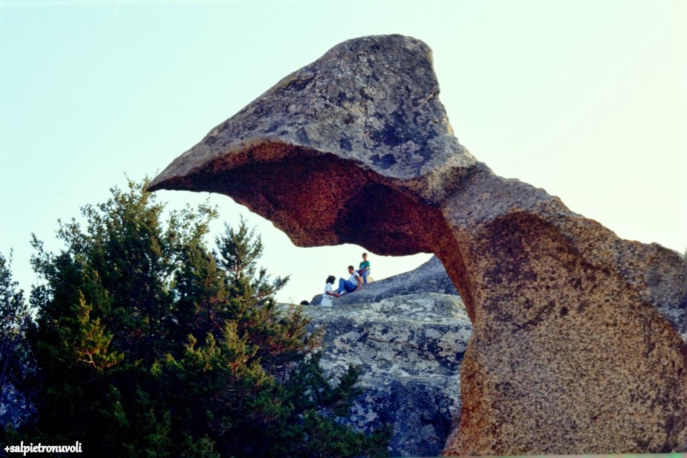 Sculture Naturali (2)