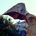 Sculture Naturali (2)