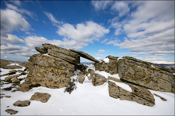 Sculture naturali