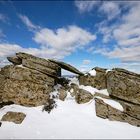 Sculture naturali