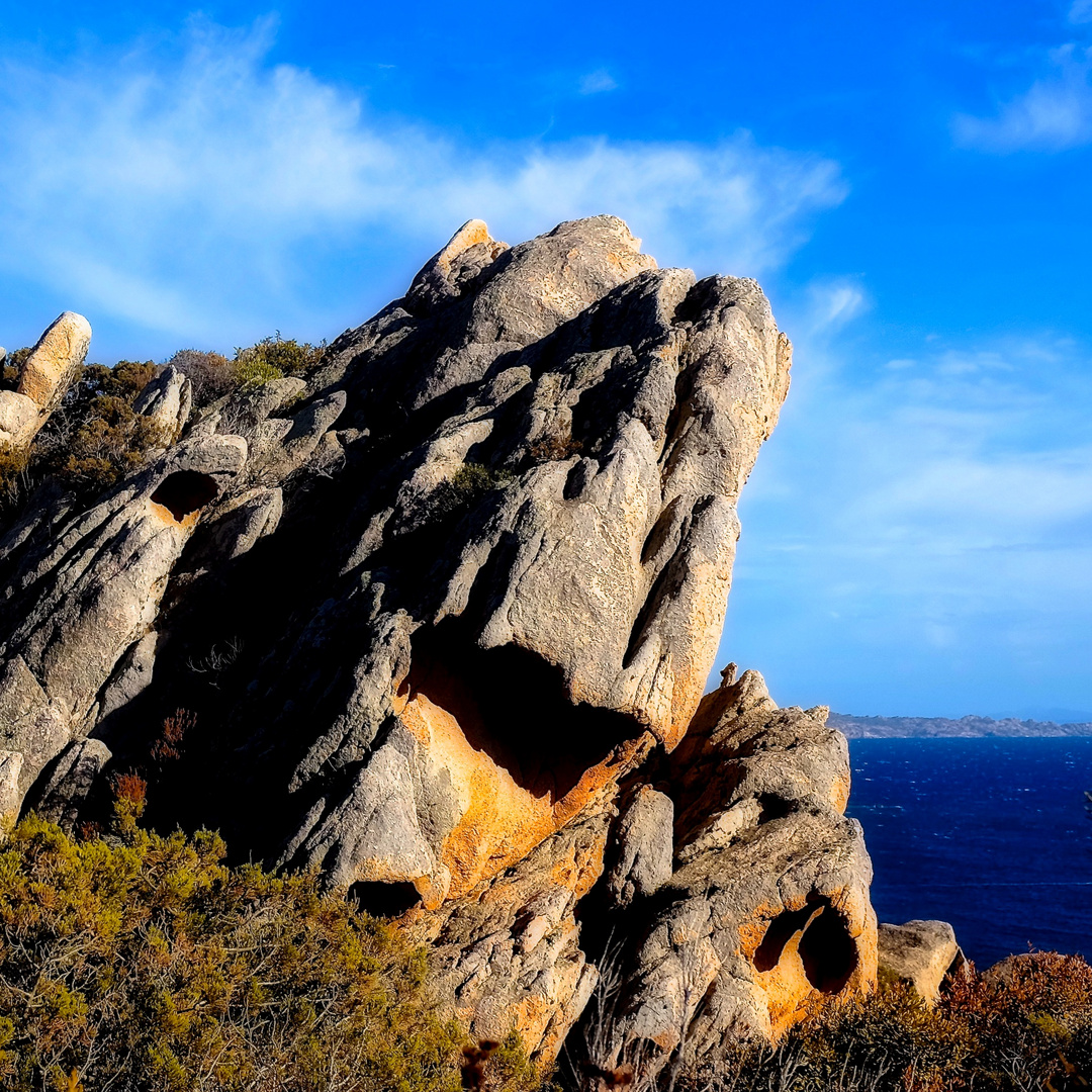 Sculture naturali/3