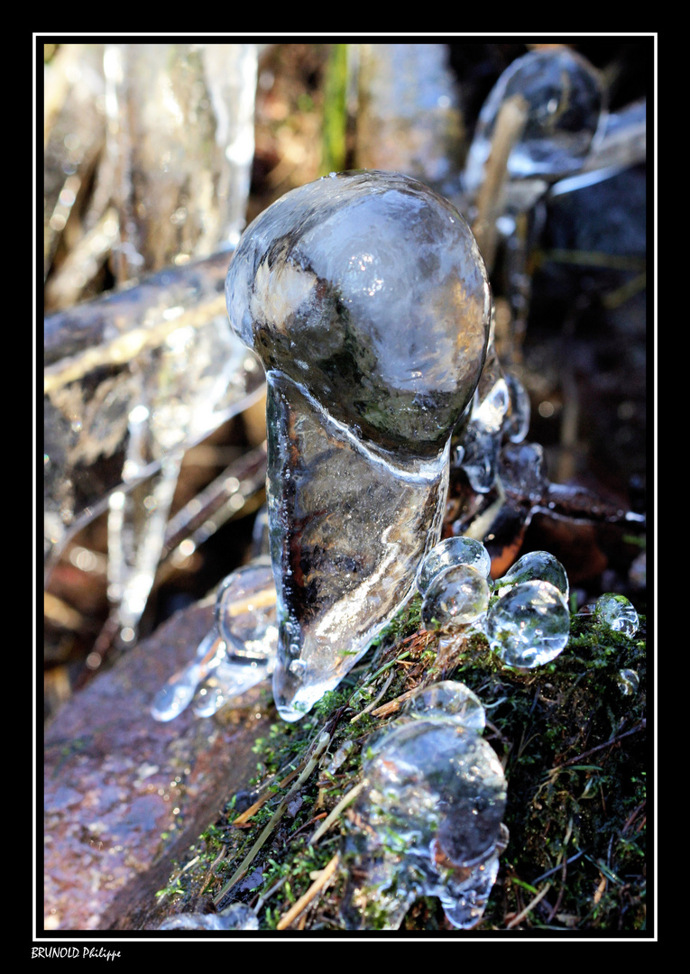 Sculture naturel !!! pour vous les filles !! ;-) !! oups pardon ...