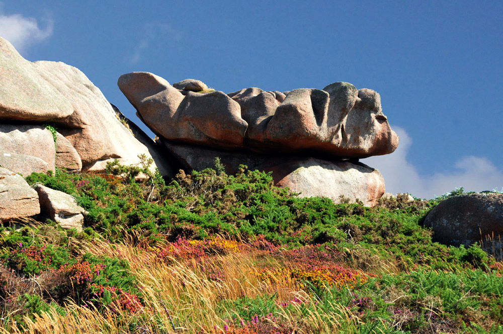 Sculture naturelle