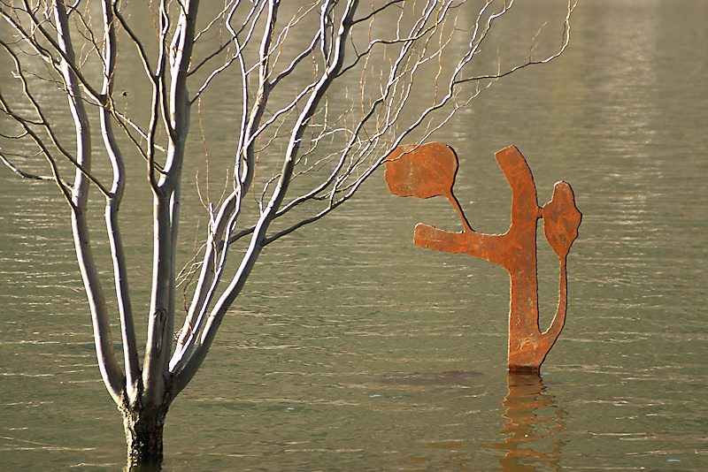 Sculture nell'acqua