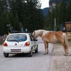 Scusi, mi sa indicare la strada per l'ippodromo ?