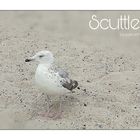 Scuttle