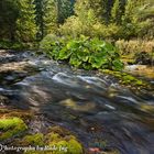 Scwarzer Fluss - Black Ricer - Crna Rijeka in NP Plitvice Lakes - Plitvicer Seen