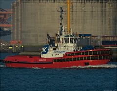 SD DOLPHIN / Tug / Rotterdam /Beercanal