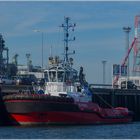 SD REBEL / Tug / Yangtzehaven / Rotterdam