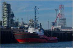 SD REBEL / Tug / Yangtzehaven / Rotterdam