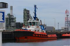 SD SEAHORSE / Tug