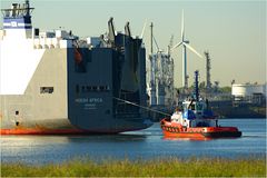 SD SEAHORSE / Tug / Calandkanal / Rotterdam