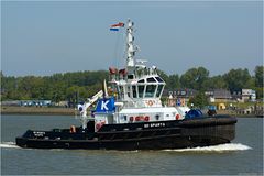 SD SPARTA, Tug / Rotterdam