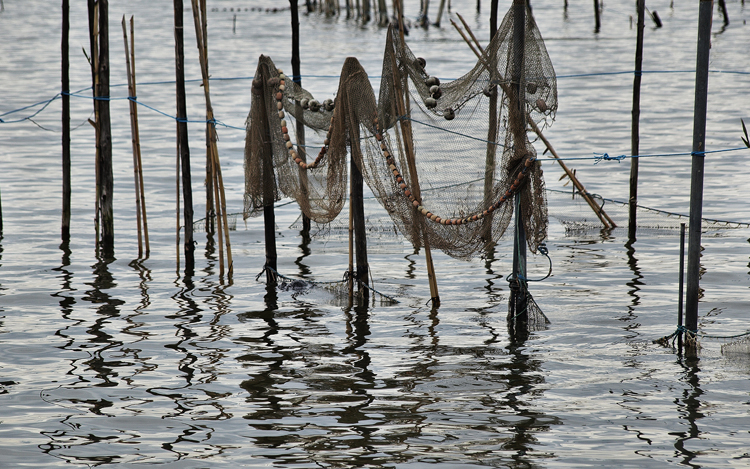 Se acabó la temporada de pesca