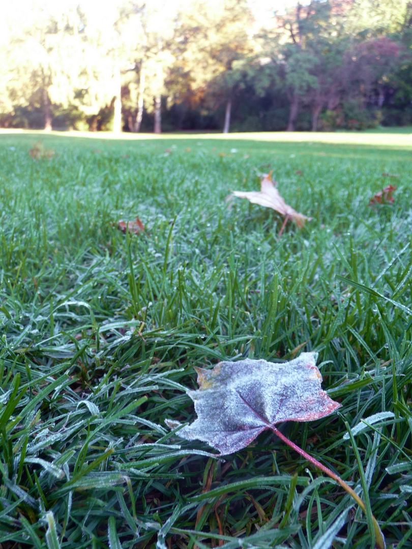 Se acerca el invierno