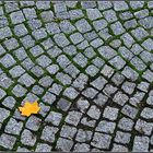 Se aproxima el otoño