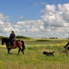 Se balader dans le printemps