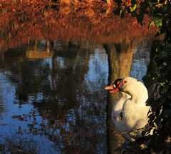 Se Faire Une Place au Soleil -:))