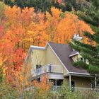 se fondre dans l'automne