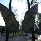 se fue el ángel sin sus alas. Con dedicación a Chaito