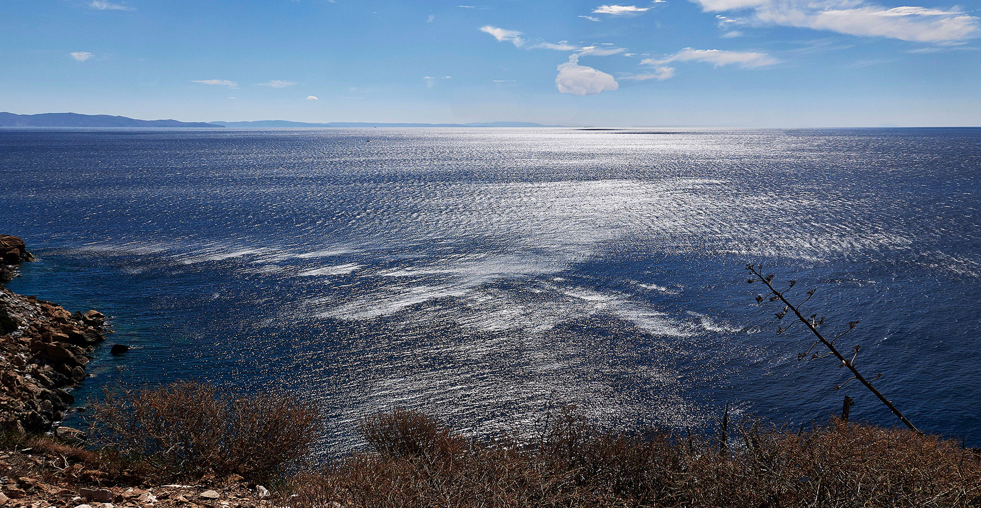 Se guardi il mare capisci l'agave