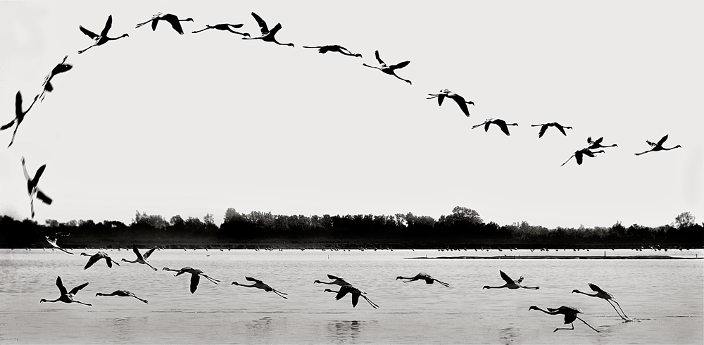 SE IL CAPOSTORMO E' VOLUBILE....... by Gianni Boradori 