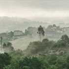 Se levanta la niebla...