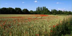 Se mettre au vert en Charente 4 - „Im Grünen“ in der Charente 4