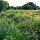 se perdre dans les prairies