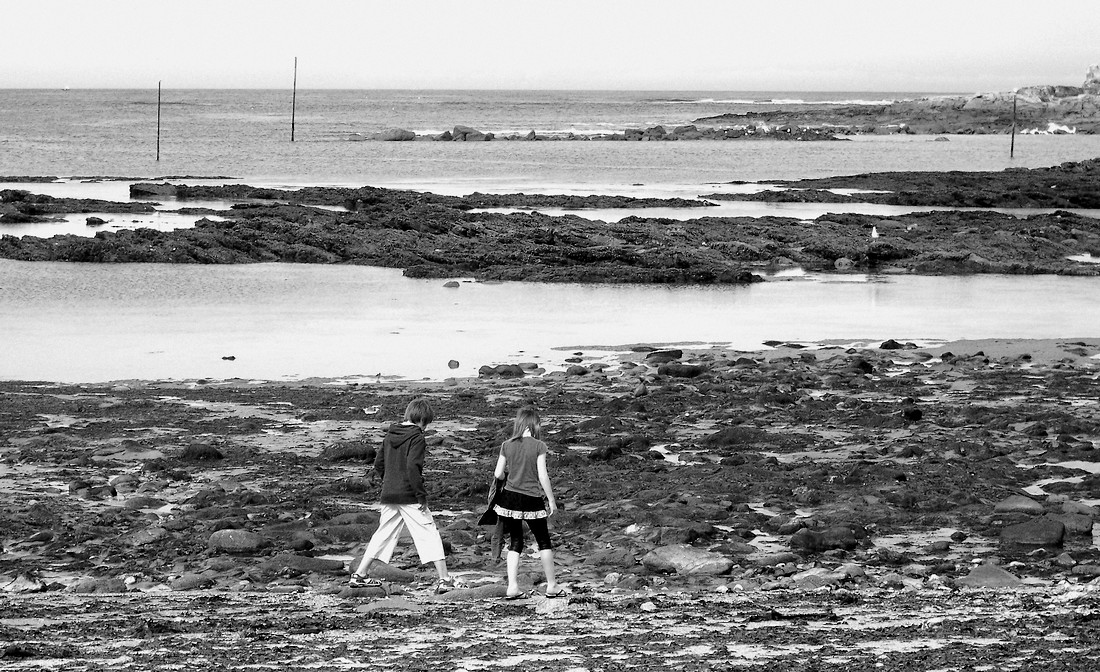 Se promener à deux, c'est mieux !..