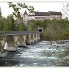 Se promener au dessus des chutes du Rhin