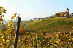 Se ressourcer dans les vignes