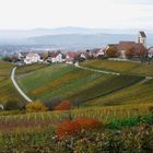 Se ressourcer dans les vignes d'OTLINGEN (D)