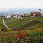 Se ressourcer dans les vignes d'OTLINGEN (D)