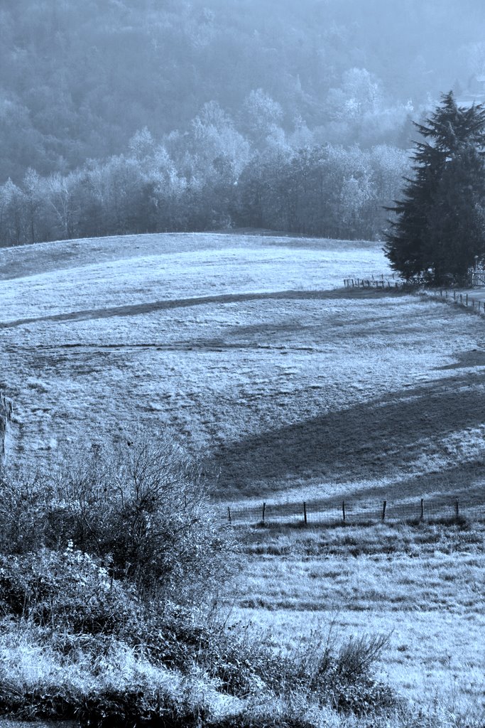 se un giorno d'autunno una viaggiatrice...