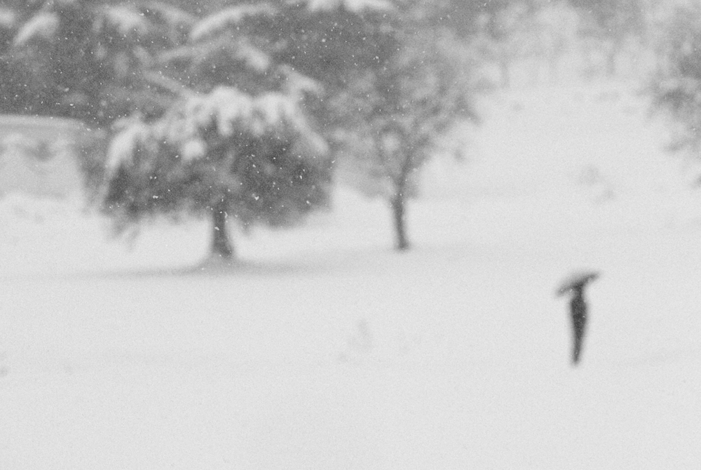 Se una notte d'inverno un viaggiatore de Ada Panich 