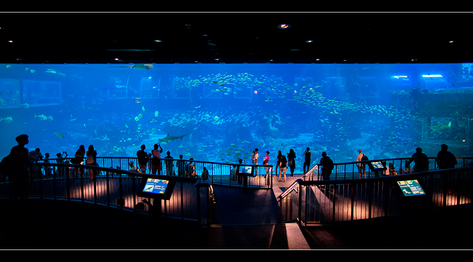 S.E.A. Aquarium - Singapur 2