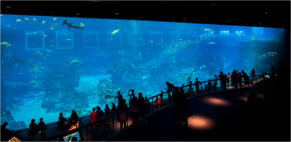 S.E.A. Aquarium - Singapur