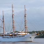 SEA CLOUD II | Dreimastbark und Kreuzfahrer