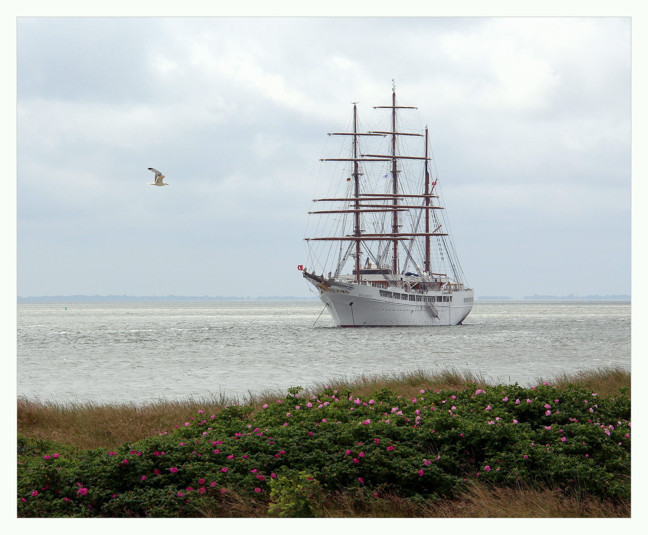 Sea Cloud, Sylt im Juni 2013