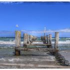 Sea Daughter Zingst