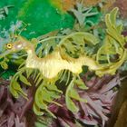 Sea Dragon