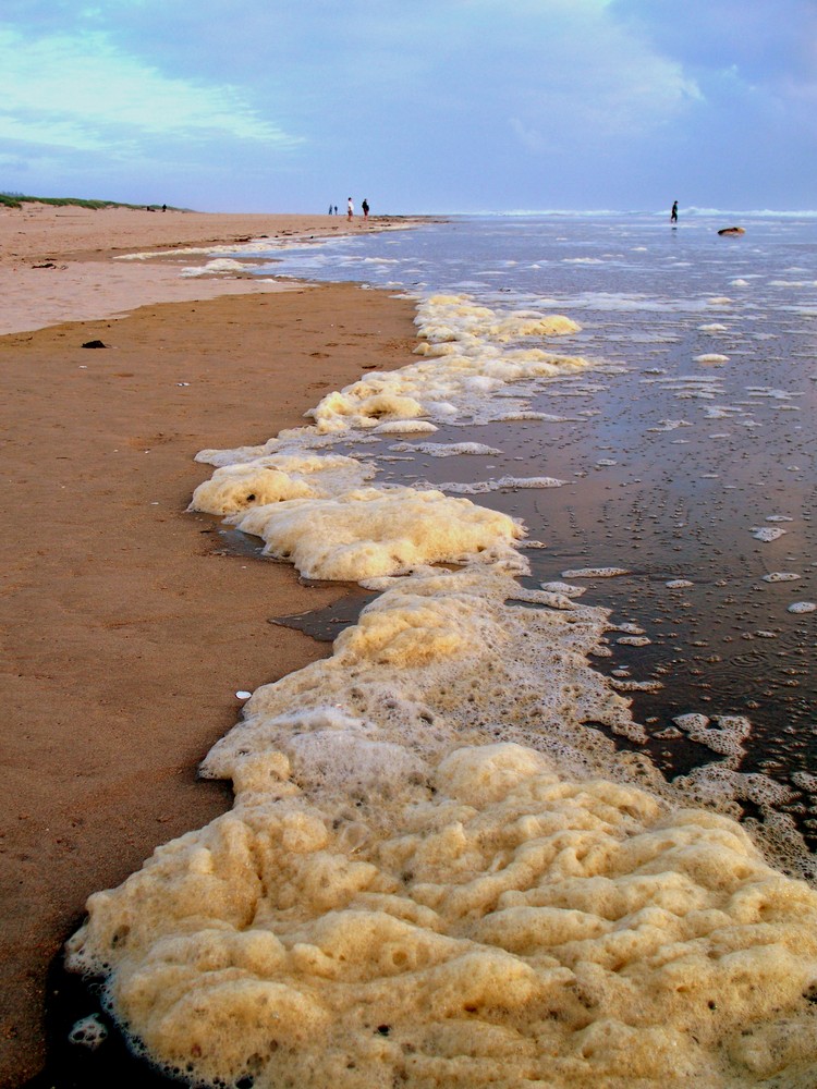 Sea foam