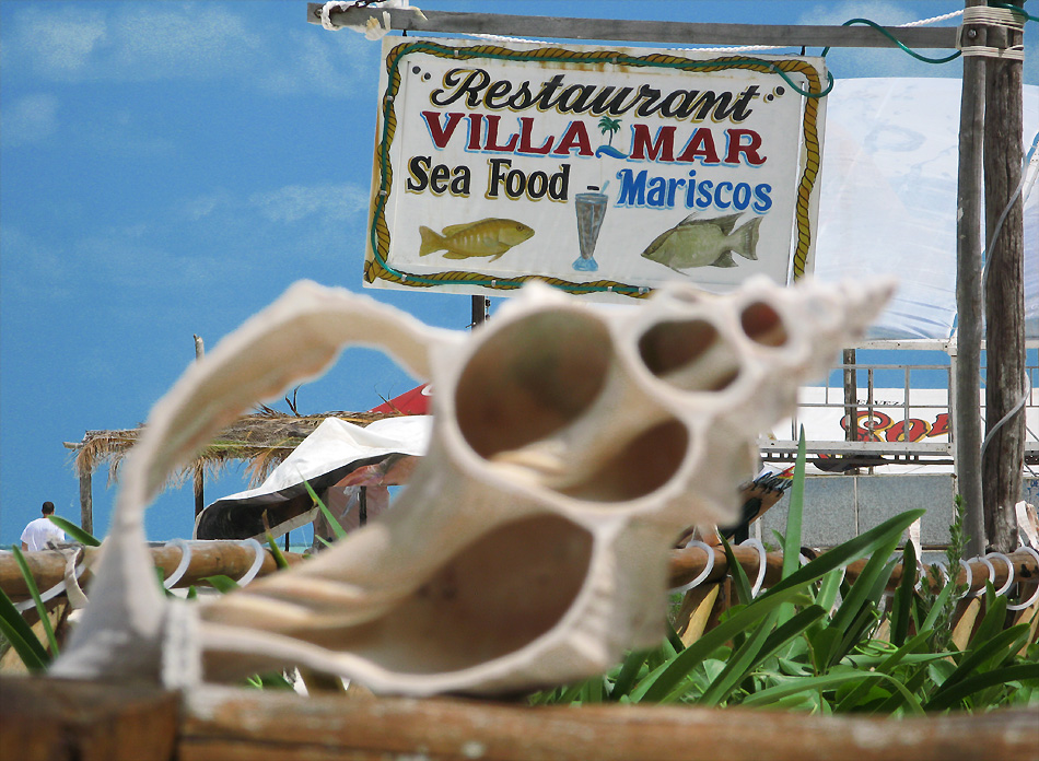 sea food- Insel Holbox Mexiko