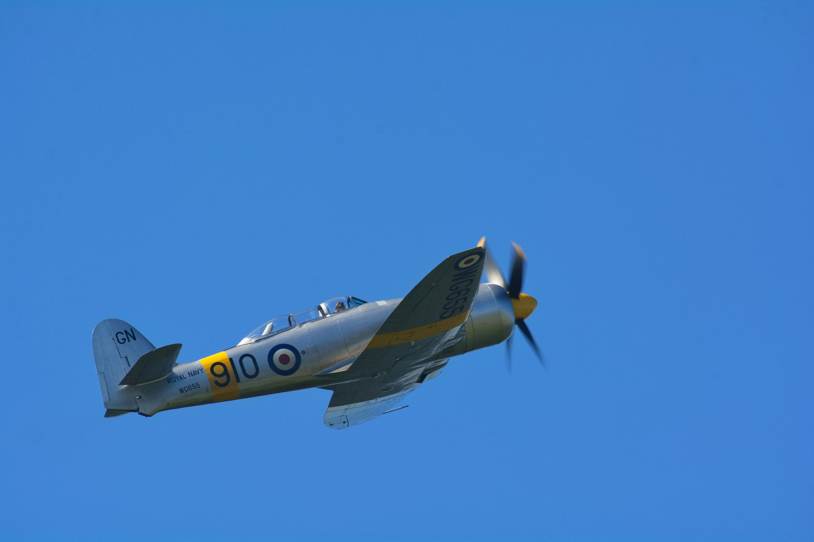 Sea Fury #2