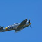 Sea Fury #2