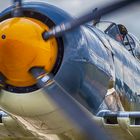 Sea Fury