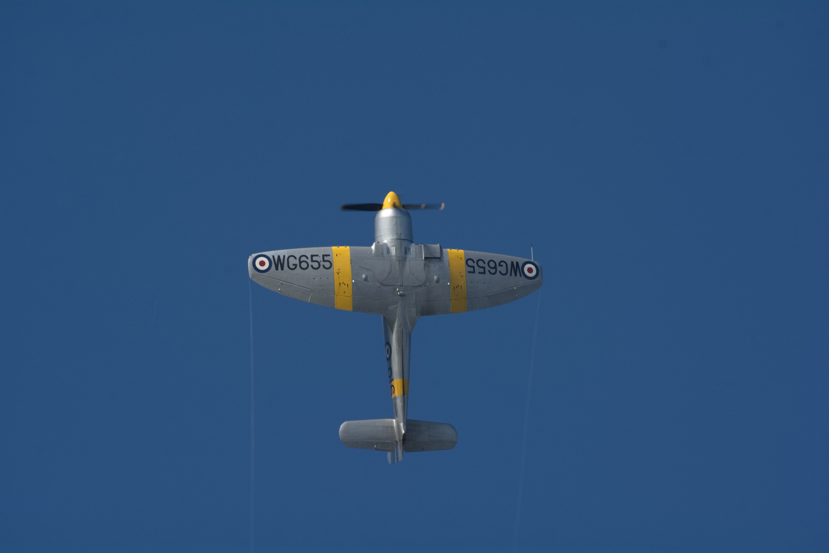 Sea Fury