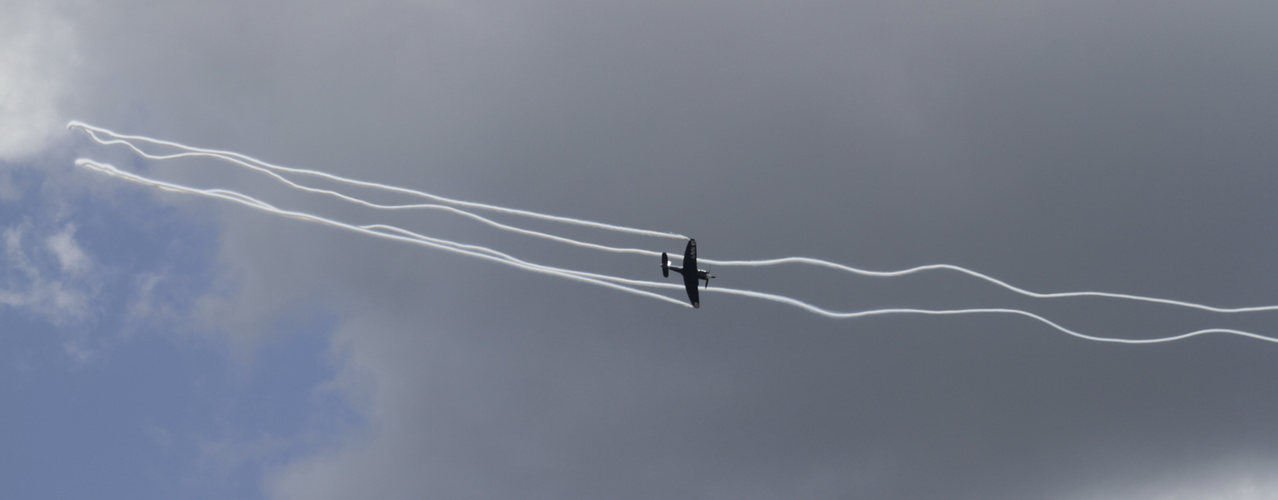 Sea Fury in Action