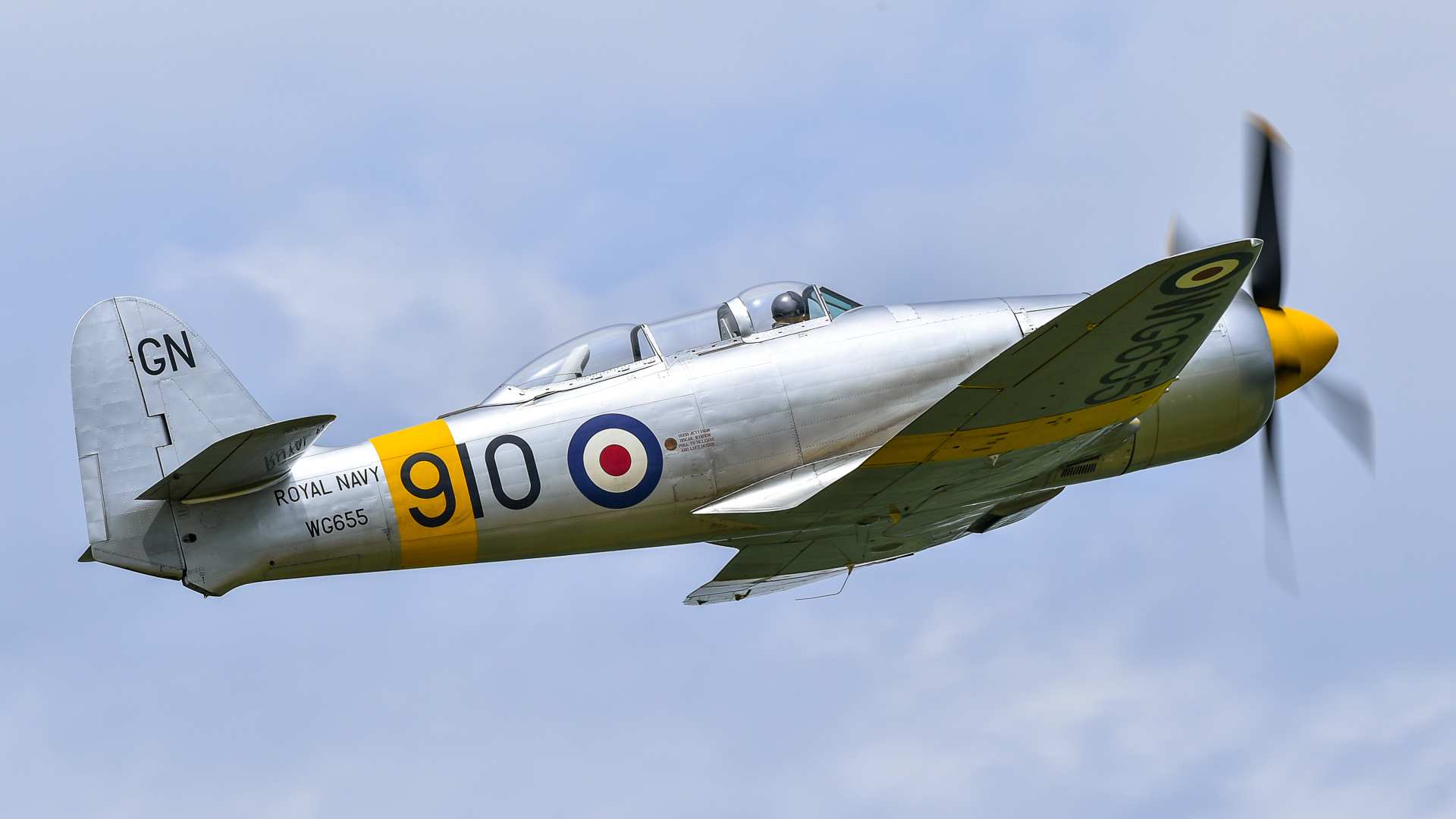 Sea Fury T-20